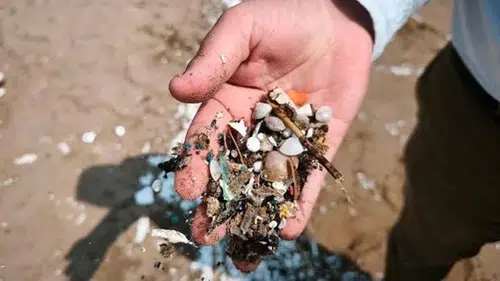 Avrupa Birliği Duruma El Koydu Atık İhracatı Düştü