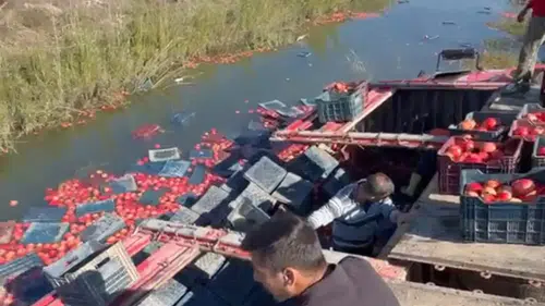 Serik'te Kamyon Kanala Devrildi: Tonlarca Nar Suya Saçıldı