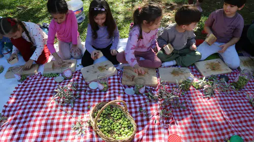 Döşemealtı’nda Minik Ellerden Zeytin Hasadı