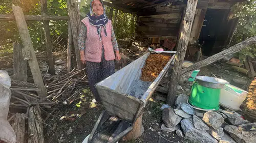 İbradı'da En Son O Kazan Kaynattı! 100 Yıllık Ağaç Teknede Meşe Külüyle Pekmez Yapıyor