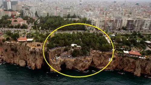 Müze Çalışma Grubu'ndan Kuğulu Park Çağrısı