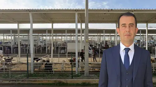 "Antalya’da Şap Aşısı Çalışmaları Sürüyor"