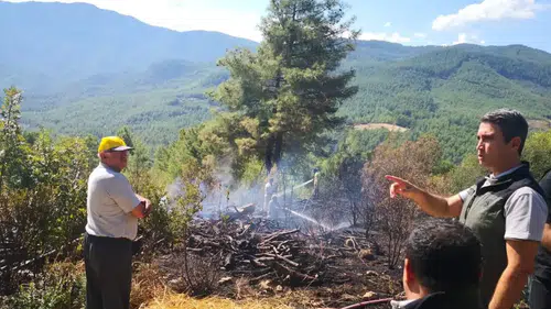 Burdur'da Orman Yangını: Ekiplerin Müdahalesiyle Söndürüldü