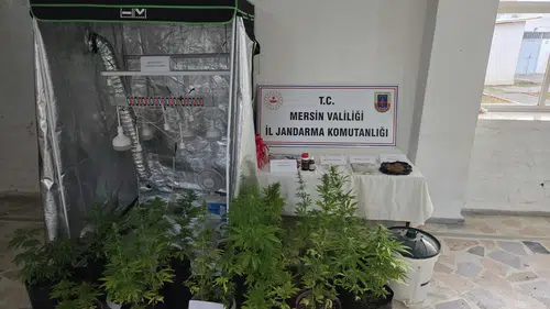 Mersin'de Uyuşturucu Operasyonu: Evin İçinde Gizli Kenevir Serası Çıktı