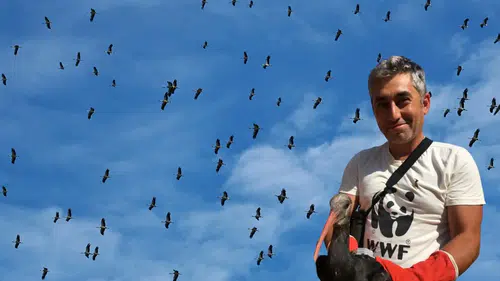 Göçmen Kuşları Tehdit Eden Elektrik Hatlarına Acil Müdahale Çağrısı