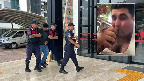 Alanya'daki Vahşet Sosyal Medyada: Canlı Kuşun Kafasını Ağzıyla Kopardı