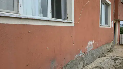 Sebze Yiyemez Hale Geldiler: Hatay'da Salyangoz İstilası