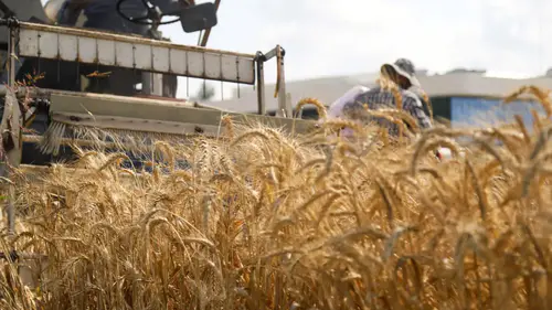 WWF 2026 Raporu Tarımı Sistemini İşaret Etti
