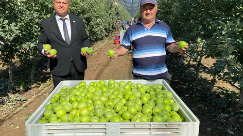 Isparta'da Elma Hasadında Rekor Beklenti: 1 Milyon Ürün Soğuk Hava Depolarında
