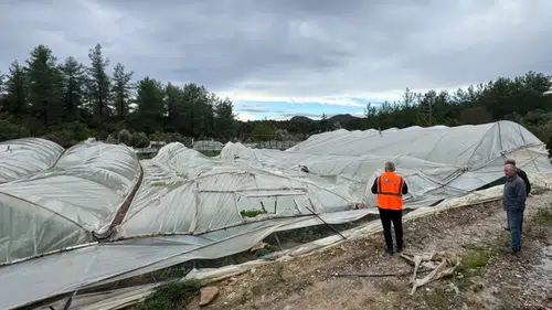 Antalya'da Yağıştan 381 Dekar Tarım Alanı ve 10 Bin Metrekarelik Sera Hasar Gördü