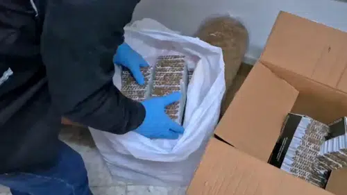 Mersin Merkezli 3 İlde Tütün Operasyonu: 20 Gözaltı Var
