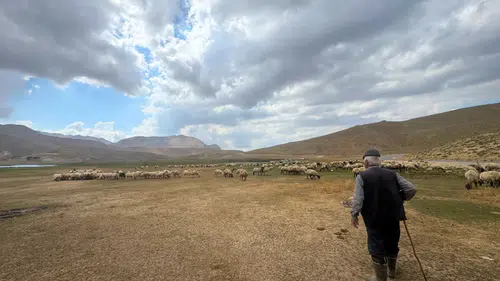 Toroslar'da Asırlık Göç Başladı: Yörüklerin 10 Günlük Zorlu Yolculuğu