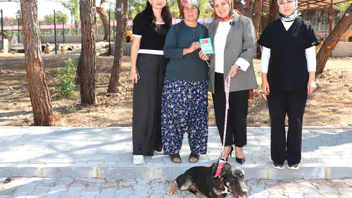 Aksu'daki Felaketten Sağ Kurtulmuştu! 'Kopi' Artık Güvende ve Sıcak Yuvasında