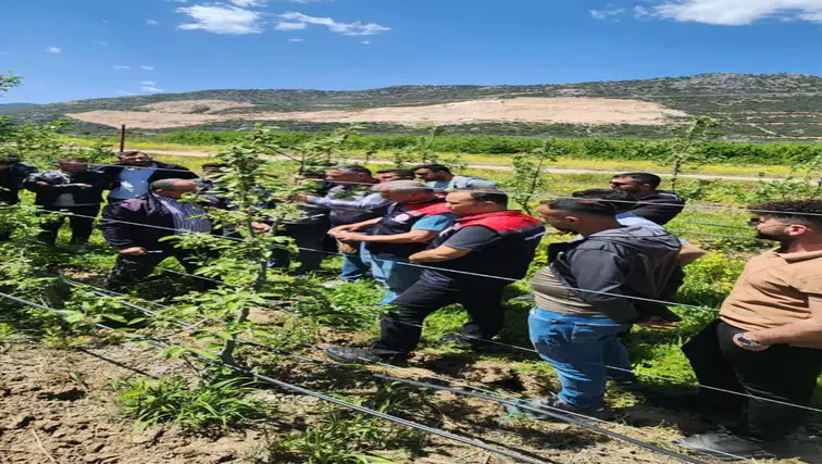 Yanlış Budamaya Son! Eğirdir'de Meyve Üreticilerine Uygulamalı Eğitim