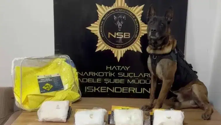 Tam 420 Kilogram Zehir Üretilecekti! İskenderun’da Yakalandı