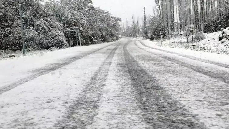 Burdur'da Kar Etkili Oldu! Bahar Dallarına Kar Düştü