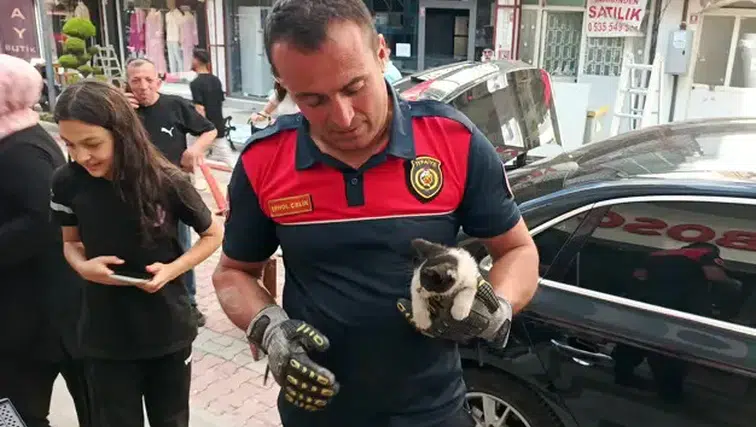Burdur'da Otomobil Motoruna Sıkışan Yavru Kedi Kurtarıldı