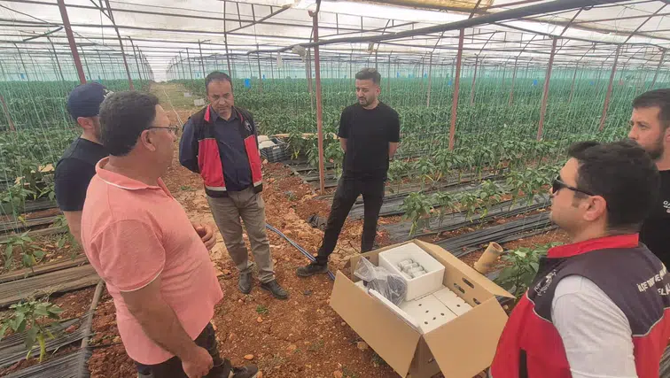 COP31 Kapsamında Elmalı'da Büyük Değişim: Seralar İçin Kritik Karar!
