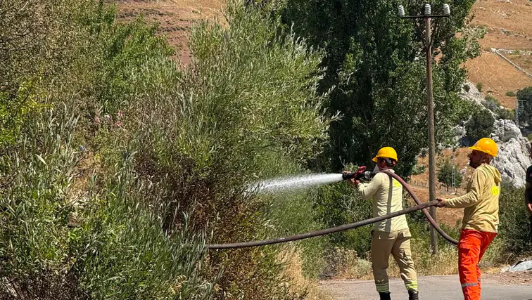 Alanya'da Korkutan Yangın: Ormana Sıçramadan Söndürüldü