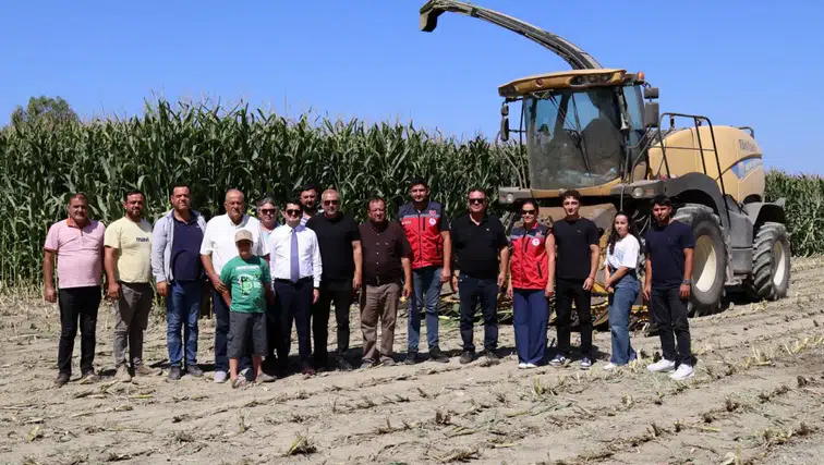 Arsuz'da Silajlık Mısır Hasadı Başladı! Dekarda 7,5 Ton Verim Bekleniyor