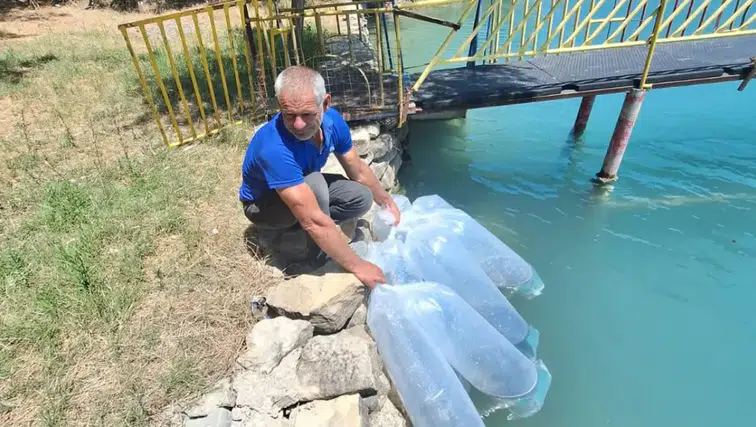 Manavgat'ın Sularına 400 Bin Yeni Balık