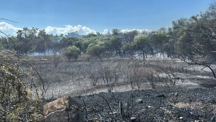 Manavgat Titreyengöl'de Sazlık Alanda Yangın: Alevler Oteller Bölgesine Yöneldi