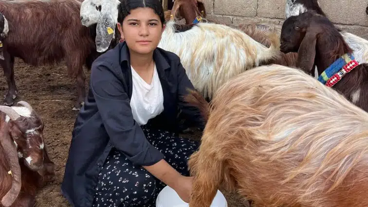16 Yaşındaki Esmanur 5 Keçiyle Başladı, Sürüsünü 30’a Çıkardı!