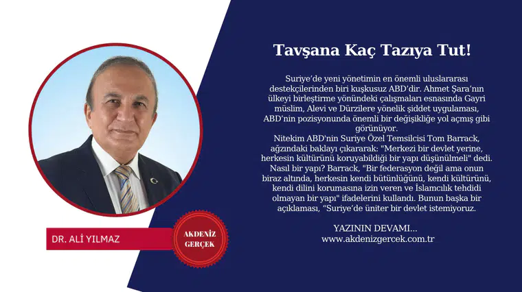 Tavşana Kaç Tazıya Tut!