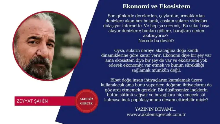 Ekonomi ve Ekosistem