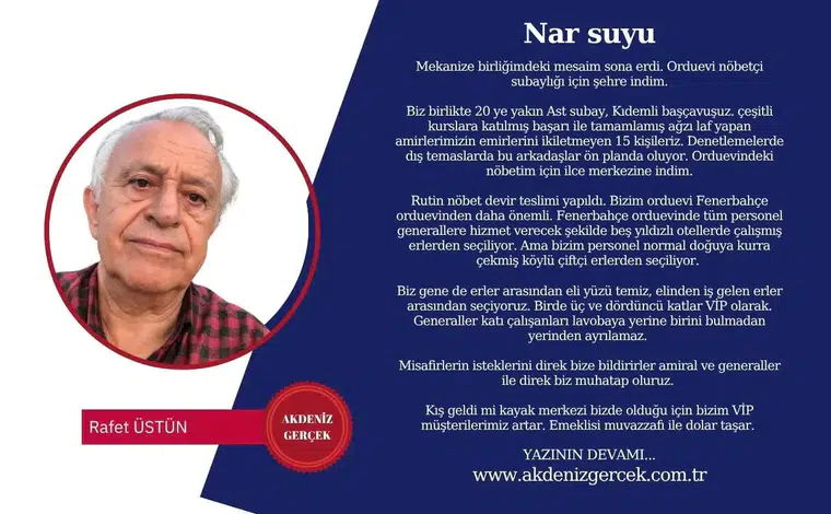 Nar suyu