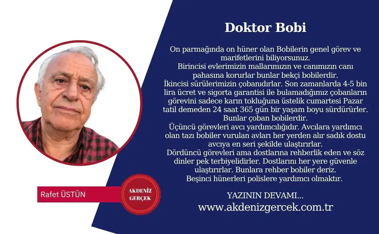 Doktor Bobi
