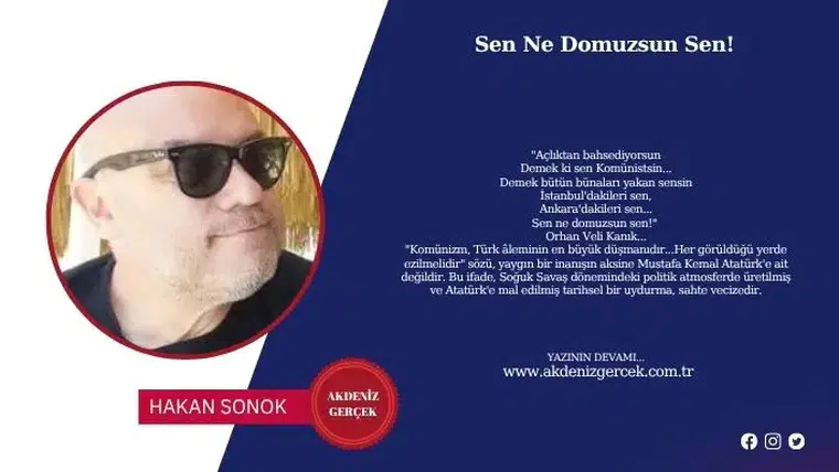 Sen Ne Domuzsun Sen!