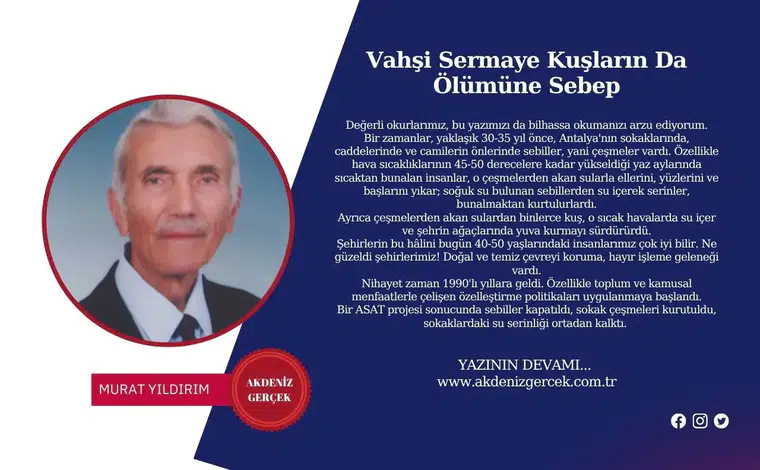 Vahşi Sermaye Kuşların Da Ölümüne Sebep