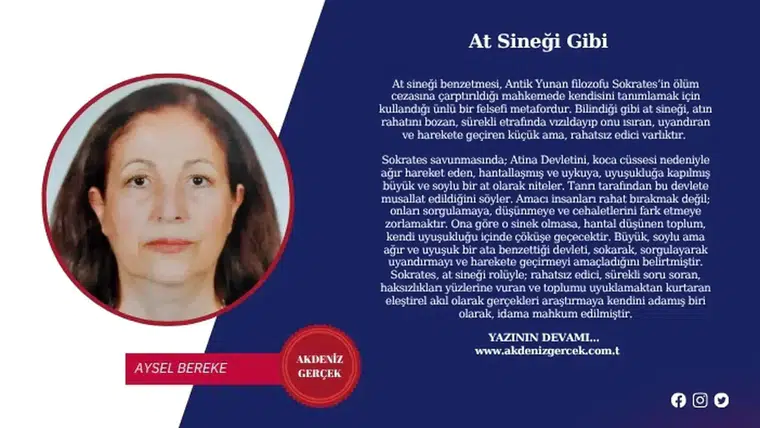 At Sineği Gibi