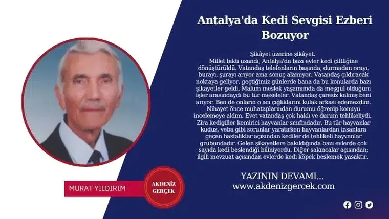 Antalya'da Kedi Sevgisi Ezberi Bozuyor