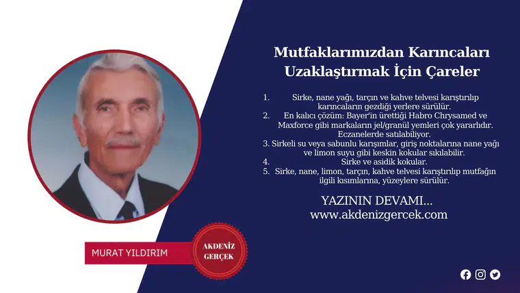 Mutfaklarımızdan Karıncaları Uzaklaştırmak İçin Çareler