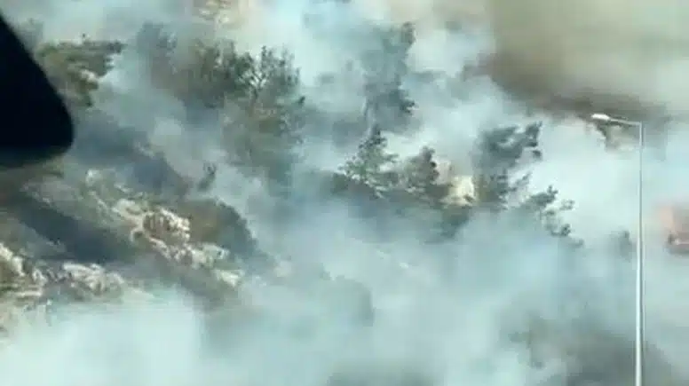 Aydın'da Alevler Yükseliyor: 7 Uçak, 8 Helikopter Seferber Edildi!