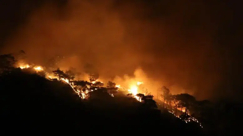 Muğla’da Kabus Gibi Gece: 7 Yangın Aynı Anda!
