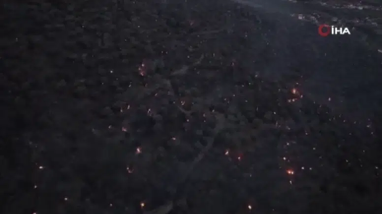 Aydın Bozdoğan’daki Yangında Kritik Saatler: Alevler Kontrol Altına Alındı mı?