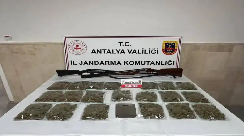 Korkuteli’nde Jandarmadan Uyuşturucu Operasyonu! Kilolarca Ele Geçirildi