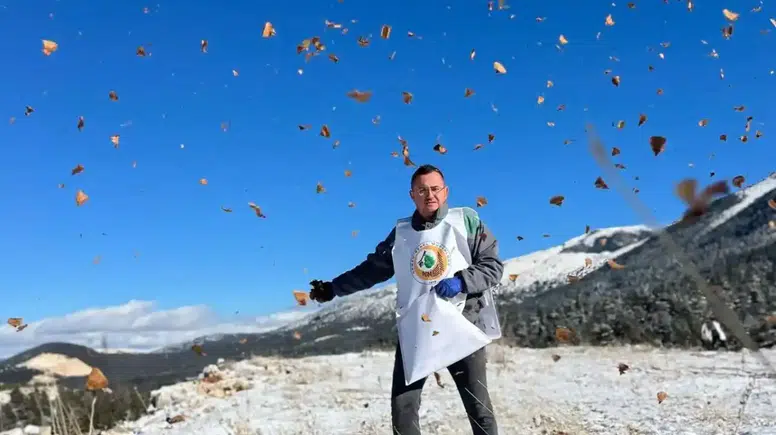 Elmalı’da Beyaz Bereket, Sedir Tohumları Toprakla Buluştu