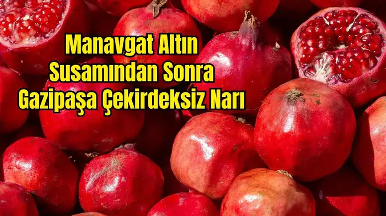 Gazipaşa Çekirdeksiz Narı İçin AB Tescil Başvurusu Yapıldı!