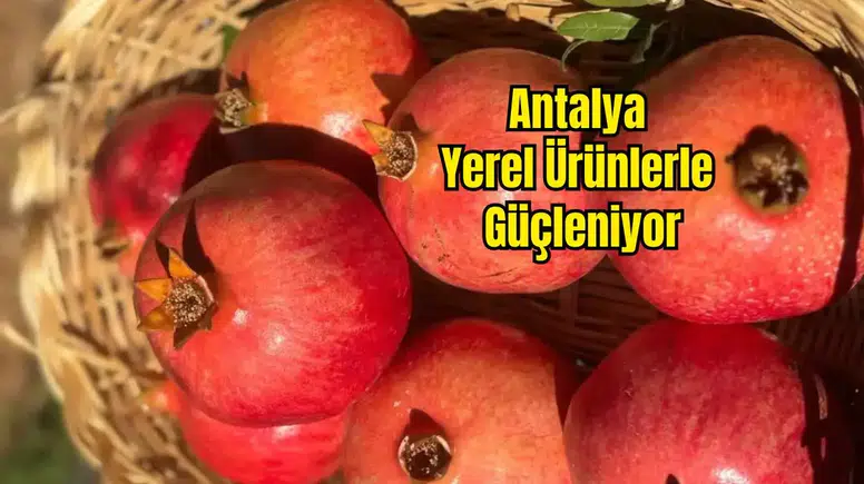 Döşemealtı Narı İçin Coğrafi İşaret Başvurusu Yapıldı