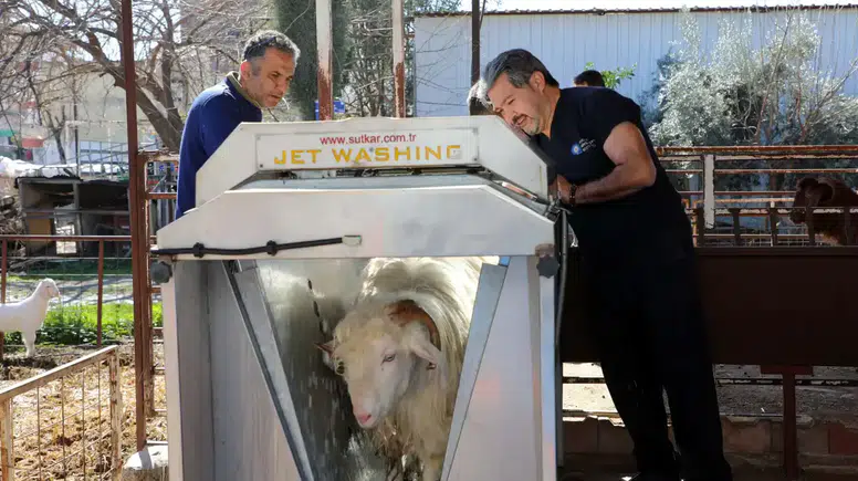 Döşemealtı'da Küçükbaş Üreticilerine Destek!