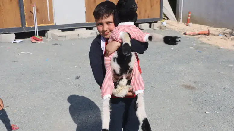 Hatay’ın Maskotu 'Boncuk'