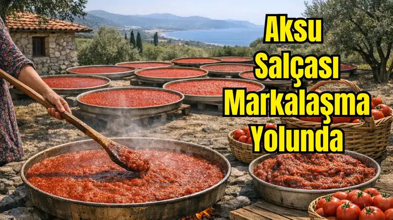 Aksu Salçası Coğrafi İşaretle Tescillenecek