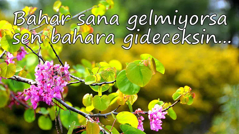 Bahar sana gelmiyorsa, sen bahara gideceksin...
