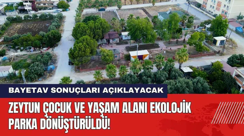Zeytun Çocuk ve Yaşam Alanı Ekolojik Parka Dönüştürüldü! BAYETAV Sonuçları Açıklayacak