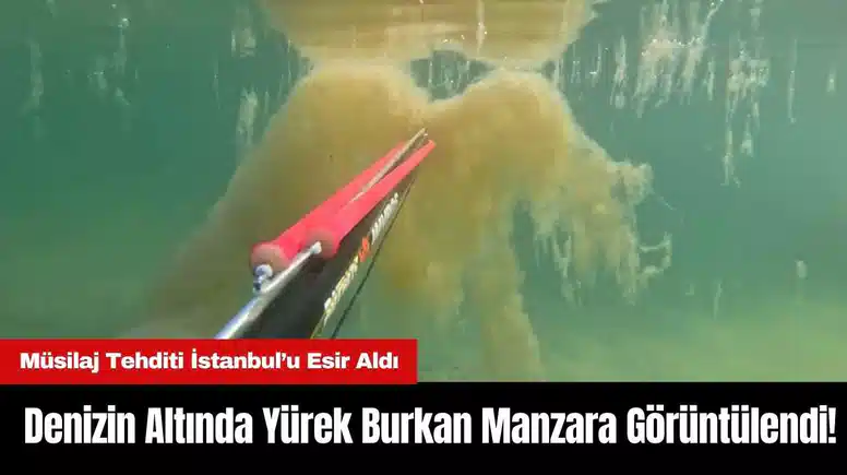 İstanbul’da Denizin Altında Yürek Burkan Manzara Görüntülendi!