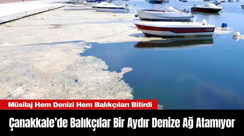 Çanakkale’de Balıkçılar Bir Aydır Denize Ağ Atamıyor